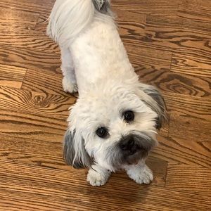 Meet your Posher, Jill